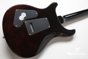 SE CUSTOM 24 - BG